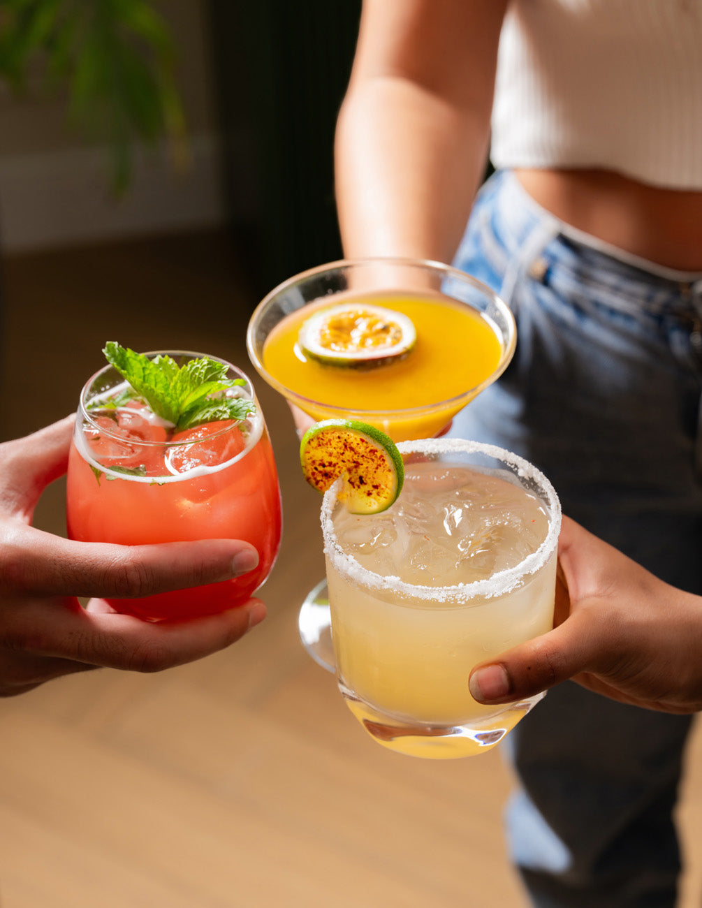 Cocktail Lovers Bundle
